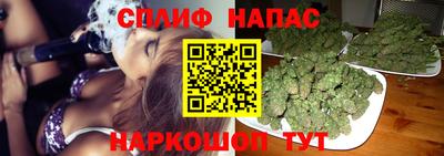 a pvp Будённовск
